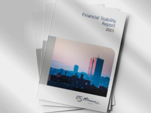 NBB Financial Stability Report 2025